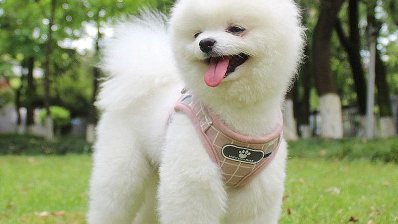 工业冷水机品牌如何选？揭秘十大品牌背后的技术实力